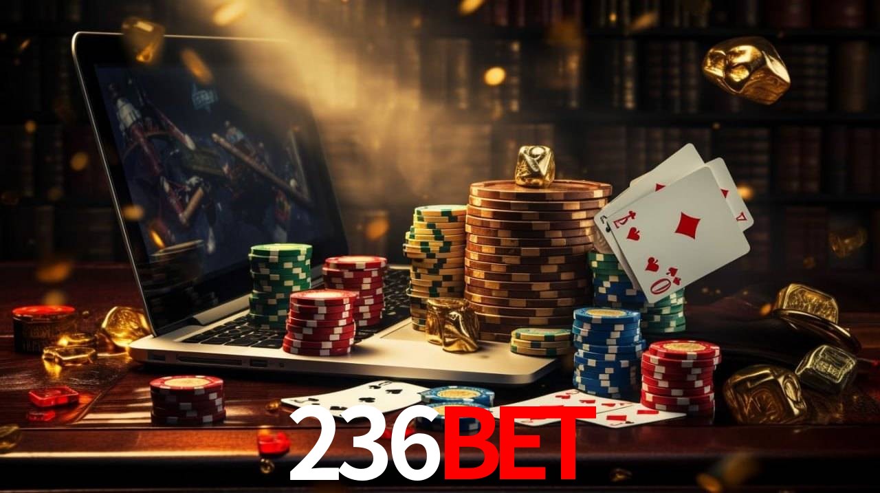 Programa VIP 236bet