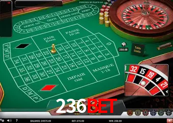 Descubra o Mundo do Cassino Online com 236bet